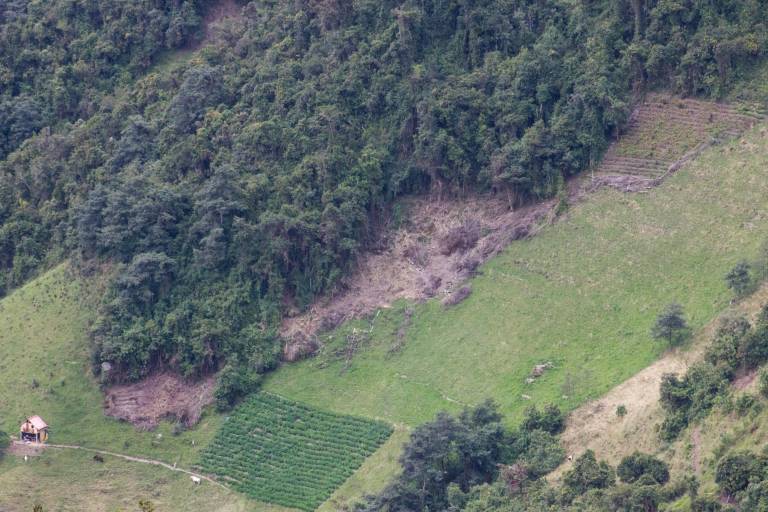 $!Expansión agrícola en la cuenca media del río Mataje.