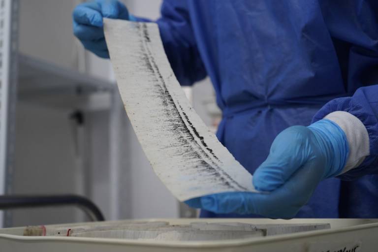 $!Larvas de mosquitos Aedes aegypti son monitoreados constantemente en el laboratorio.