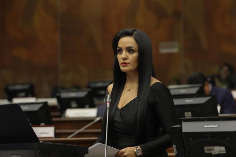 $!Yeseña Guamaní (ID) fue elegida como tercera vocal del Consejo de Administración Legislativa (CAL) hasta el final del período en 2025.