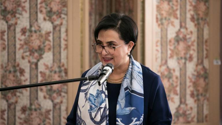 Gabriela Sommerfeld mantuvo una reunión con el secretario de Estado adjunto de Estados Unidos, Christopher Landau.