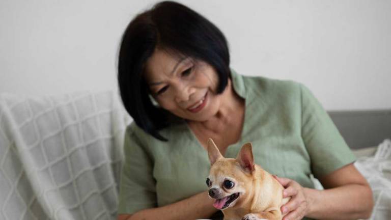 Mujer en China deja 2.3 millones de dólares como herencia para sus mascotas