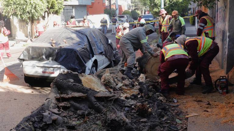 Un potente sismo de magnitud 6,5 sacude el centro en México