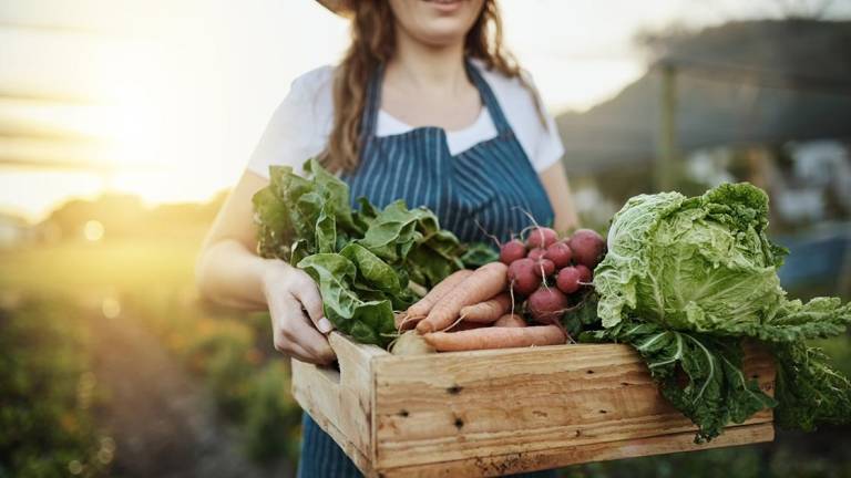 Más de 9.000 productores orgánicos están registrados en Ecuador