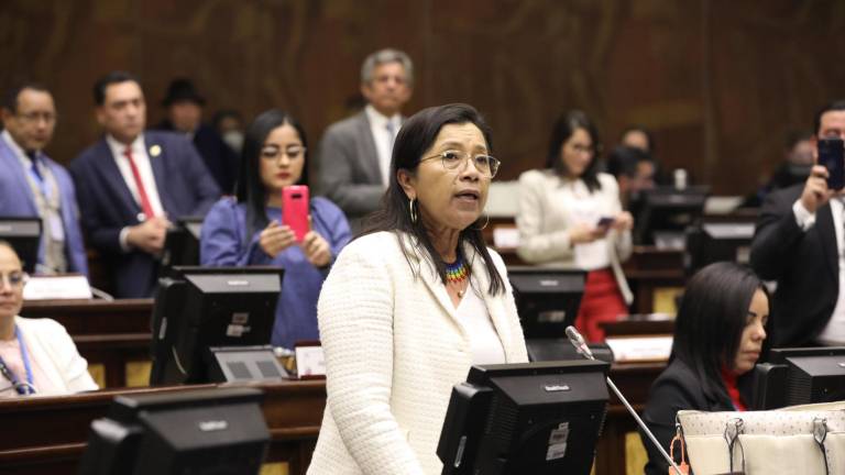 Nuevos roces en la Asamblea Nacional por conformación de comisión para evaluar a Guadalupe Llori