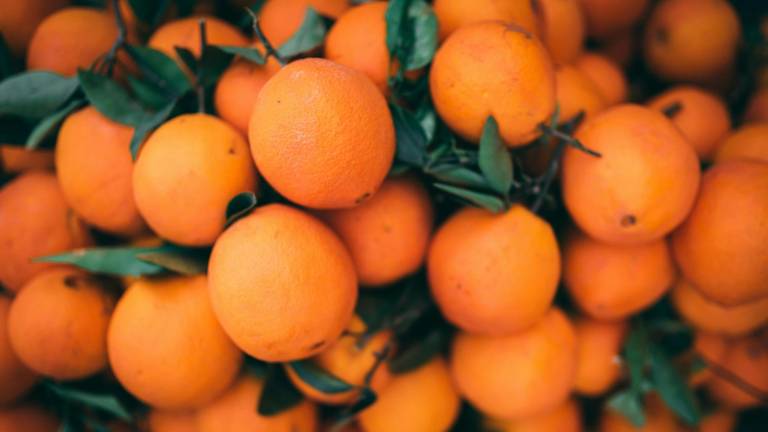 Vinagre y cáscaras de naranja: el limpiador ecológico ideal