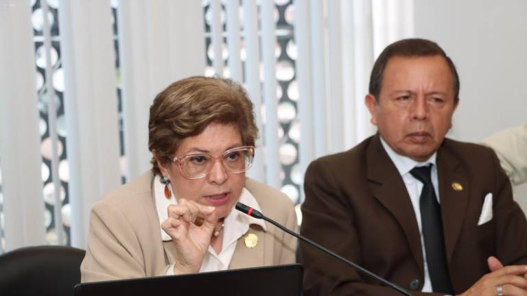 Ministra de Trabajo dice que críticas a suspensión de Verónica Abad buscan desprestigiar