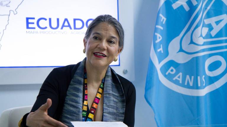 Eve Crowley: “La primera prioridad de Ecuador debería ser la desnutrición crónica infantil”