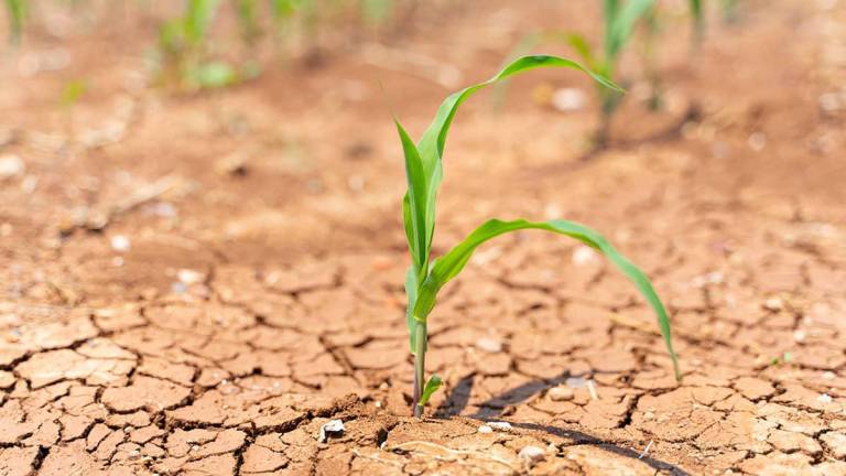 Tecnologías permiten reducir el estrés hídrico y mejorar la calidad del agua