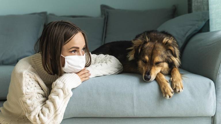 Estudio revela cómo la pandemia del COVID-19 también cambió el comportamiento de los perros