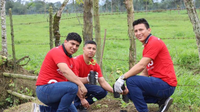 Empresas ecuatorianas se involucran en la reducción de emisiones de CO2