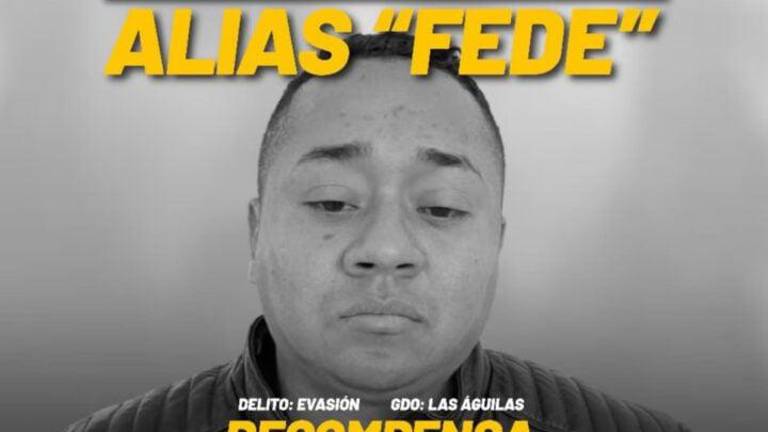 Alias ‘Fede’, líder de Los Águilas, recapturado en Colombia, enfrenta posible extradición a EE.UU.