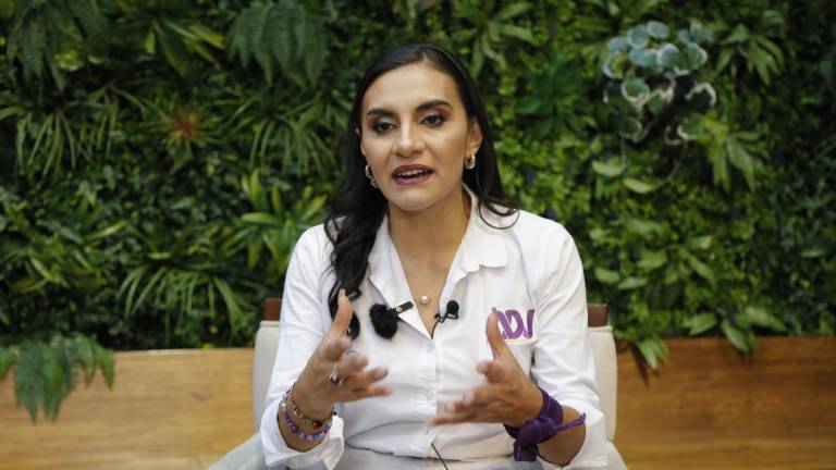 Noboa prevé consulta popular para sacar a Ecuador de oscuridad, adelanta Verónica Abad, vicepresidenta electa