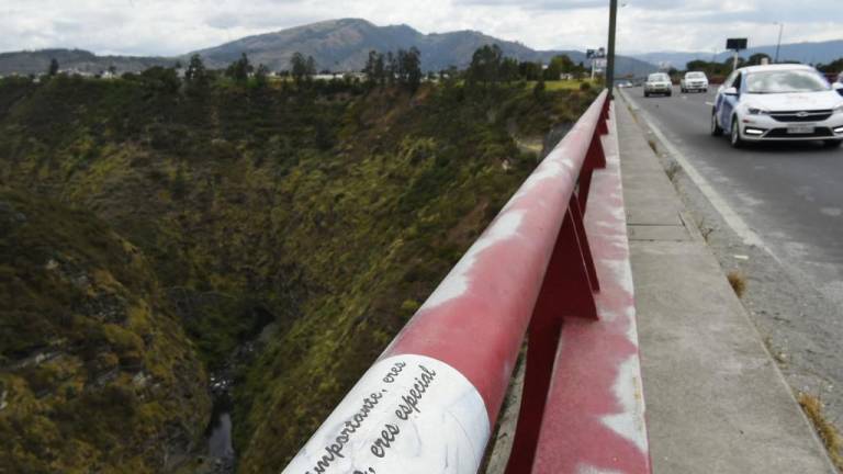 Así se busca evitar los suicidios de precipitación desde los puentes en Quito