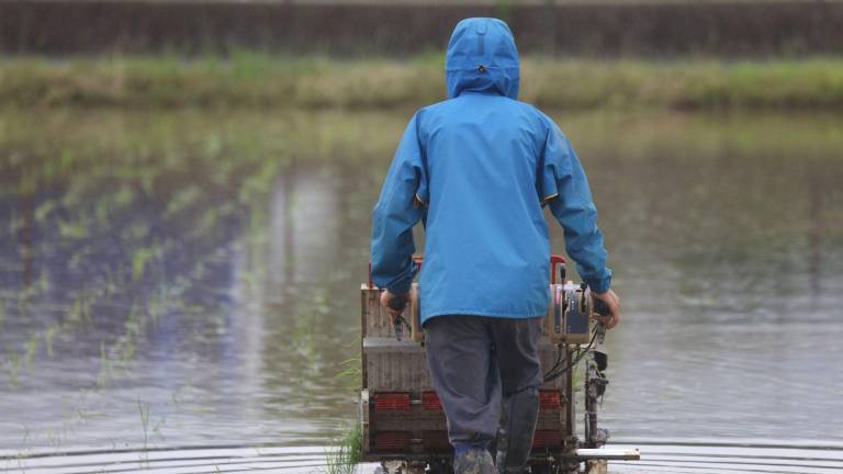Con talleres e información se busca fortalecer la prevención agrícola ante al fenómeno de El Niño
