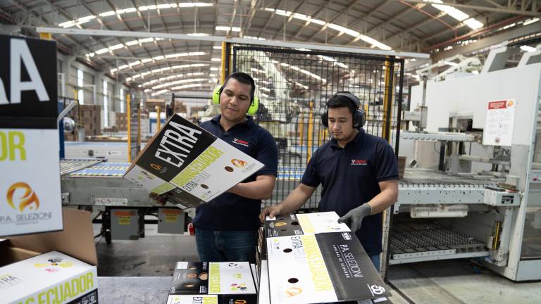 Grupasa impulsa la competitividad del banano, camarón y flores con soluciones de empaque innovadoras