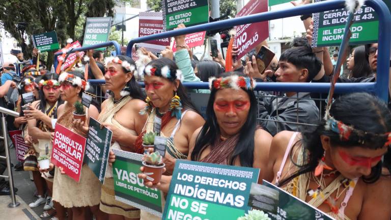 Indígenas waorani exigen en la Corte Constitucional el cierre de pozos petroleros en Yasuní: 'No venimos acá para rogar'