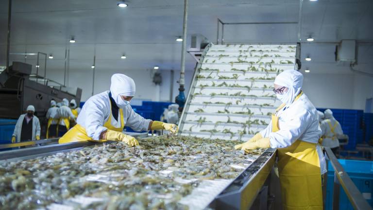 Pesca responsable, compromiso social y diversificación marcan el rumbo de NIRSA