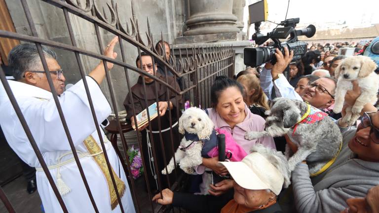 Por el Día de los Animales, Quito y Guayaquil preparan jornadas de bendición de mascotas