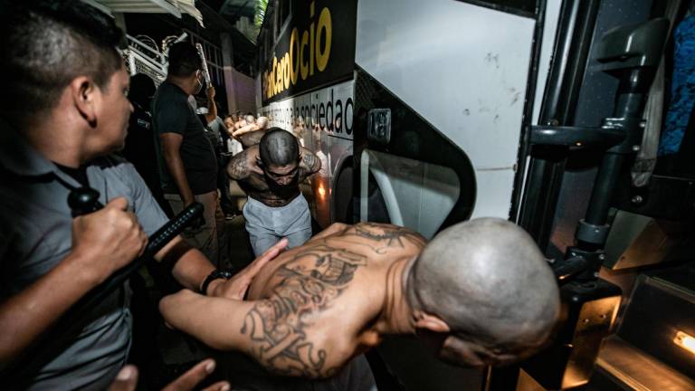 Fotografía cedida por la presidencia de El Salvador donde se observa el traslado de pandilleros a la cárcel denominada Centro de Confinamiento del Terrorismo (CECOT) en la madrugada de hoy, en Tecoluca (El Salvador).