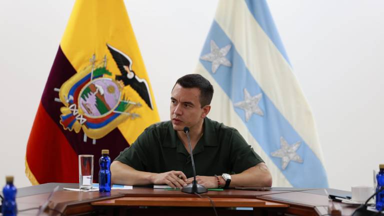 El presidente de la República, Daniel Noboa.