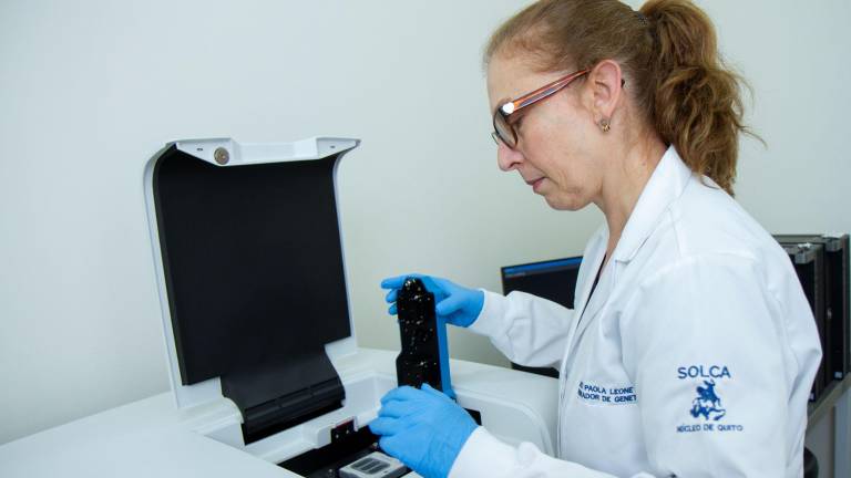 Una doctora de SOLCA Quito realiza un procedimiento en equipos especializados para obtener un diagnóstico.