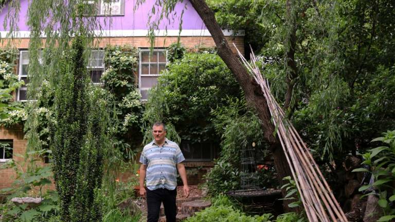 Volver a lo salvaje, la moda para atraer a polinizadores a los jardines