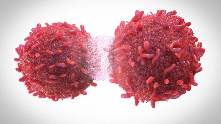 El ADN de 12.000 tumores revela un tesoro oculto de las causas del cáncer