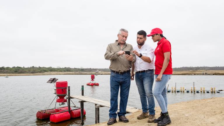 Tecnología mejora la productividad acuícola