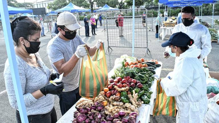 Impulsan el abastecimiento seguro de alimentos en Guayaquil