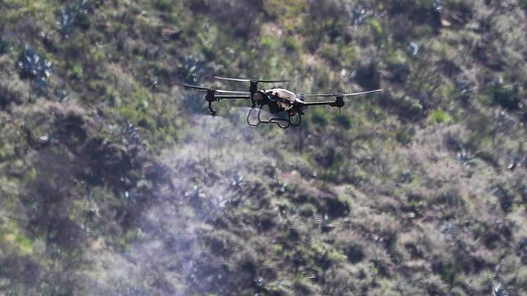 La siembra de semillas desde un dron apunta a revolucionar la reforestación en Ecuador
