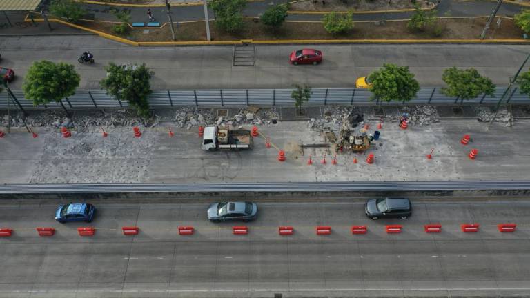 Ministerio asegura que ha recibido denuncias sobre daños ambientales.