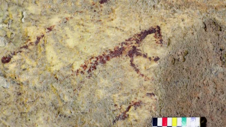 Hallan la obra de arte más antigua de la humanidad