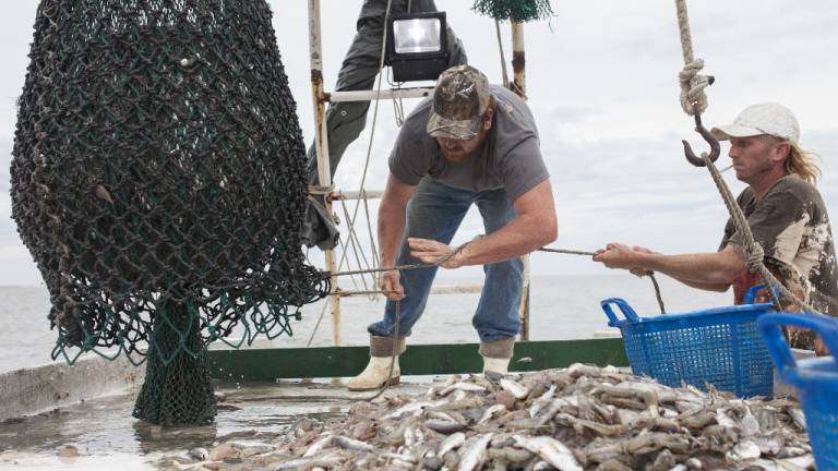 Sector pesquero rechaza ampliación de Reserva Marina de Galápagos