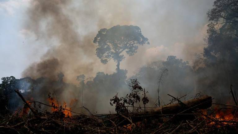 Problema sin solución: la Amazonía de Brasil ahora emite más carbono del que puede capturar