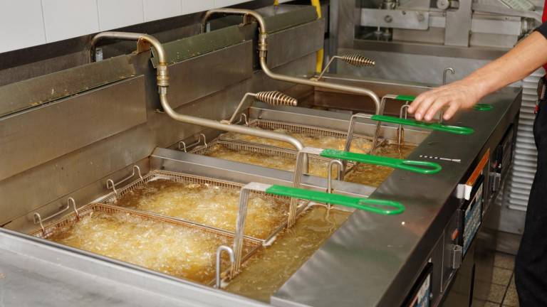 Se estima que el sector Horeca representa entre el 30 y 40 por ciento de los residuos de aceite usado en el país.