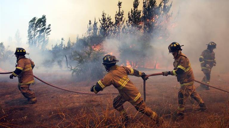 Más de 40 detenidos por incendios forestales en Chile