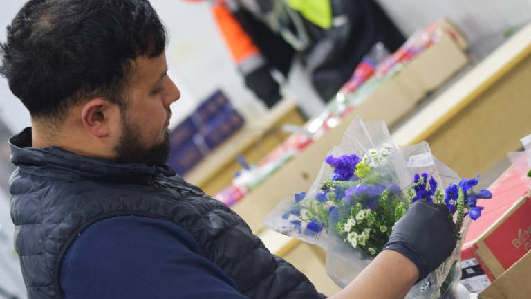 San Valentín 2025: Las flores ecuatorianas enamoran al mundo