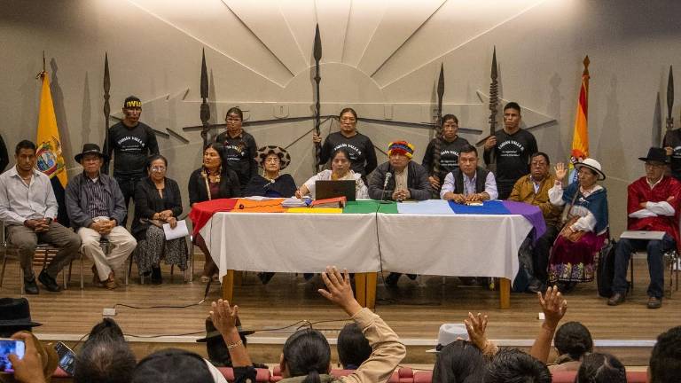 CONAIE rechaza IVA del 15% a alimentos de consumo diario como leche procesada, pan, fideos y más