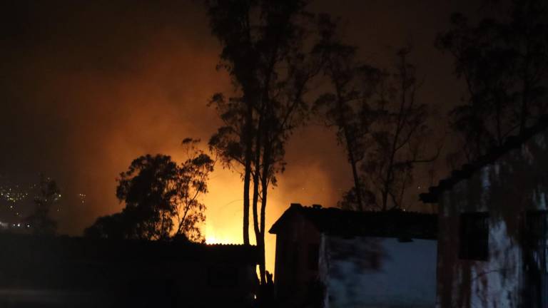 22 incendios forestales se dieron este miércoles en Quito: ¿Provocados de manera premeditada?