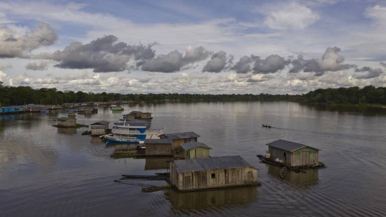 La &quot;Amazonía es un gran recipiente de virus&quot;, advierte investigador brasileño
