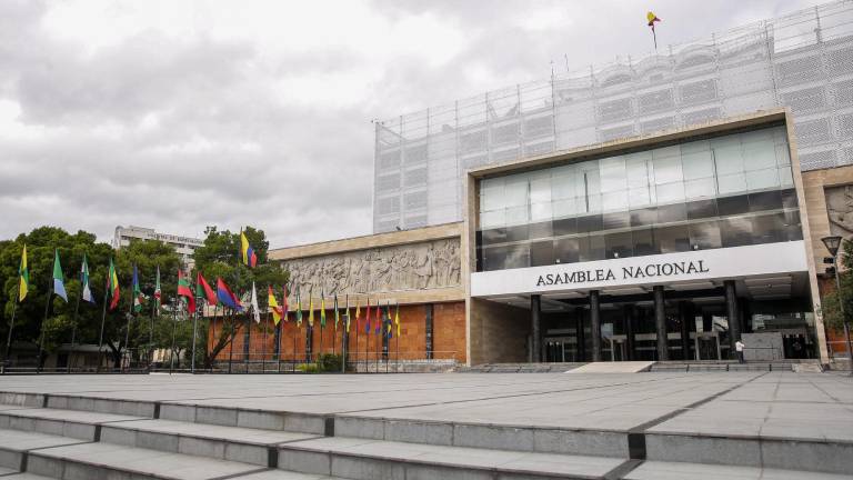 Corte Constitucional da paso a referéndum para reducir el número de asambleístas