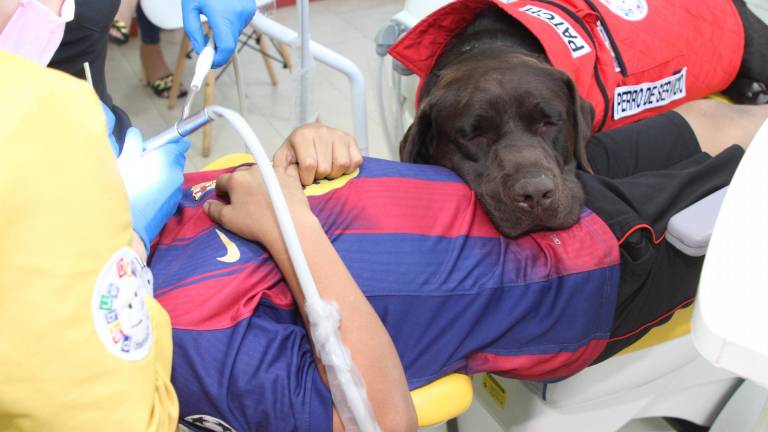 De Aldo a Patch: el legado del primer perro de asistencia dental del Ecuador