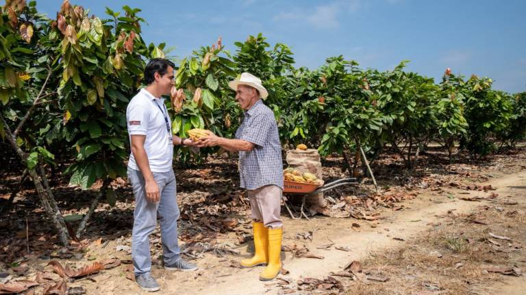 Agricultura regenerativa: el siguiente paso de Cocoa Plan de Nestlé