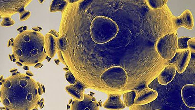 ¿Qué cantidad de coronavirus es suficiente para infectar a una persona?