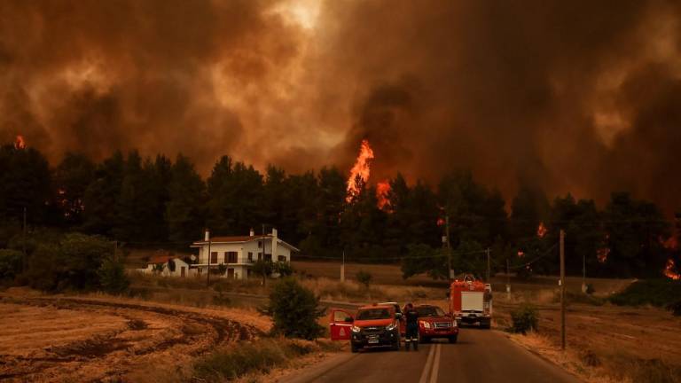 Los incendios arrasan superficies récord en Grecia, Turquía se salva por la lluvia