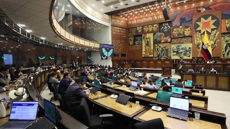 Ley de Infancia Segura en Ecuador: Asamblea debate registro de agresores sexuales y bloqueo de contenido infantil abusivo