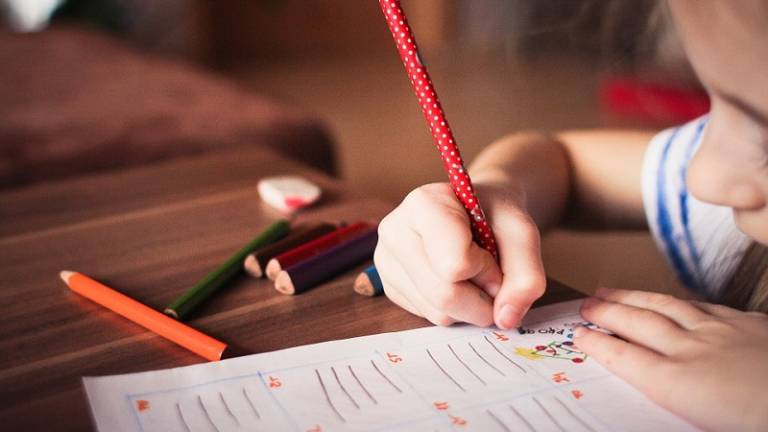 Una generación corre riesgo de tener bajo coeficiente intelectual