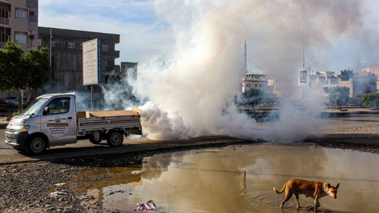 COVID-19 amenaza con destruir los avances en lucha contra la malaria