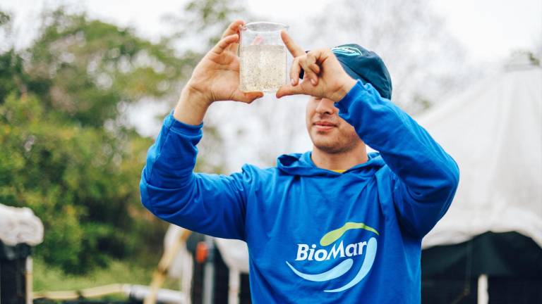 Alimentsa se dedica a la producción de alimento balanceado.