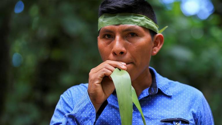 Los remedios ancestrales que usan en la Amazonía contra el COVID